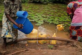 Experts Urge Integration of Female Genital Schistosomiasis (FGS) into Sexual and Reproductive Health Services