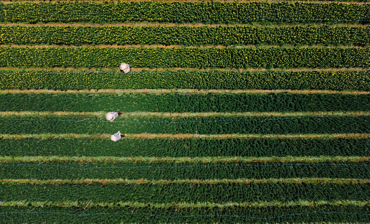 How Youth Are Turning Farms into Profitable Startups